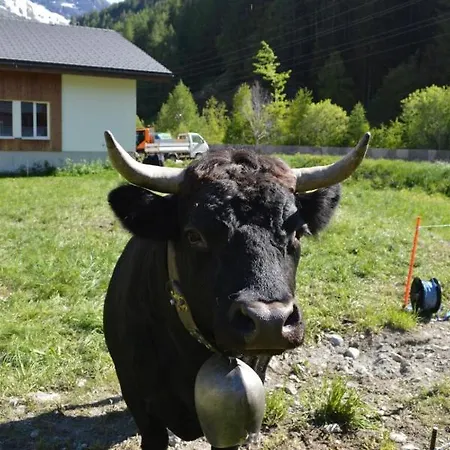 Appartement Amethyst Saas-Grund